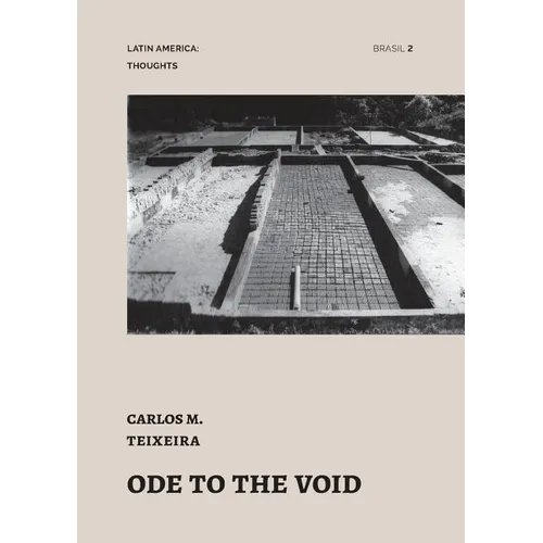 Ode to the Void: essays by Carlos Teixeira