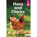 Hens and Chicks