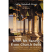 When We Swung from Church Bells: Stories That Shape Our Faith and Faith That Shapes Our Stories