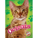 Ocicats