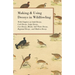 Making and Using Decoys in Wildfowling - With Chapters on Solid Decoys, Cork Decoys, Snipe Decoys, Live Decoys, Blinds, Salt Water Decoys, Regional De