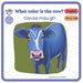 What Color is the Cow? - Con bò màu gì?: Bilingual book in Vietnamese and English for age 0 - 3