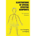 Illustrations Of Special Effective Acupoints for common Diseases