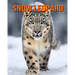 Snow Leopard: Fun Facts Book for Kids with Amazing Photos