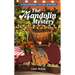 The Mandolin Mystery