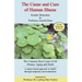 Cause and Cure of Human Illness