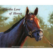 For the Love of Horses: Celebrating the beauty of animals with the paintings of Adeline Halvorson
