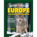 Awesome Animals of Europe and the United Kingdom: The Continent and Its Creatures Great and Small