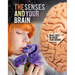 The Senses and Your Brain