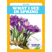 What I See in Spring