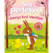 Say Peekaboo! Bunny's Best Valentine