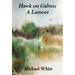 Hawk on Galvez: A Lament