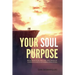 Your Soul Purpose: Reincarnation and the Spectrum of Consciousness in Human Evolution