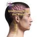 Understanding the Brain