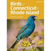 Birds of Connecticut & Rhode Island Field Guide