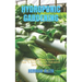 Hydroponic Gardening: A Complete Beginner's Guide On How To Build Your Own Hydroponic Gardening System