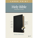 KJV Large Print Thinline Reference Bible, Filament Enabled Edition (Red Letter, Genuine Leather, Black, Indexed)