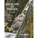 Wildlife In Parker: Colorado
