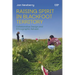 Raising Spirit in Blackfoot Territory: Collaborative Design and Ethnographic Refusal