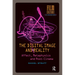 The Digital Image and Reality: Affect, Metaphysics and Post-Cinema
