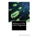 Behavior of The Lower Organisms
