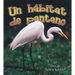 Un Hábitat de Pantano (a Wetland Habitat)
