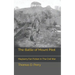 The Battle of Mount Pilot: Mayberry Fan Fiction In The Civil War