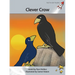 Clever Crow
