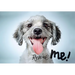 Rescue Me: Dog Adoption Portraits and Stories from New York City