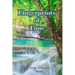 Fingerprints of Time