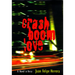 Crashboomlove: A Novel in Verse