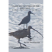 Close Encounters of the Bird Kind: Wild Birds in San Francisco and Other Places