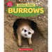 Burrows (Learn About: Animal Homes)