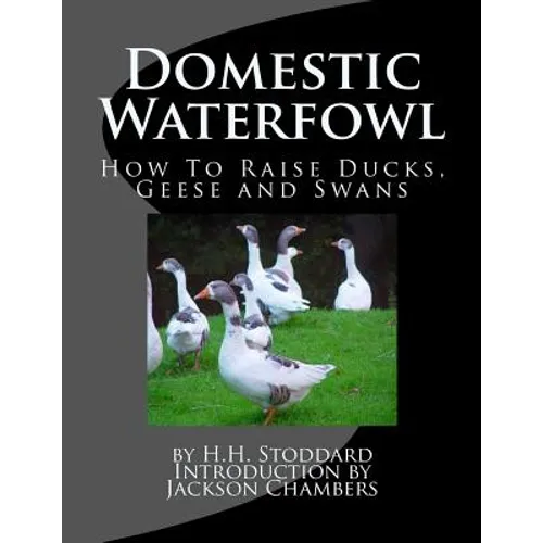 Domestic Waterfowl: How To Raise Ducks, Geese and Swans