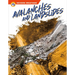 Avalanches and Landslides