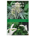 The New Cannabis Breeding: Complete Guide To Breeding and Growing Cannabis The Easiest Way