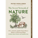 The Secret Network of Nature: Trees, Animals, and the Extraordinary Balance of All Living Things-- Stories from Science and Observation