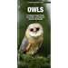 Owls: A Folding Pocket Guide to Familiar and Unusual Species Worldwide