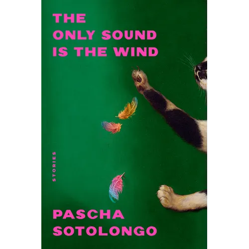 The Only Sound Is the Wind: Stories