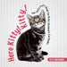 Here Kitty! Kitty! Fun Facts Cats Book for Kids Children's Cat Books