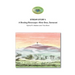 Stream Story I: A Riveting Riverscape-River Brue, Somerset: River Friend Series Book 2