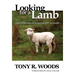 Looking for a Lamb