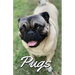 Pugs Photo Book for Writing and Note Taking: Writing Pad with Pug Pictures, Dog Lover Gifts