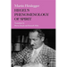 Hegel S Phenomenology of Spirit