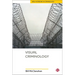 Visual Criminology
