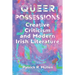 Queer Possessions: Creative Criticism and Modern Irish Literature