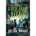 A Blue Grass Affair: A Cam Marshall Mystery