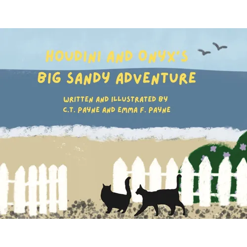 Houdini and Onyx's Big Sandy Adventure