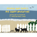 Houdini and Onyx's Big Sandy Adventure