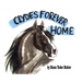 Clyde's Forever Home